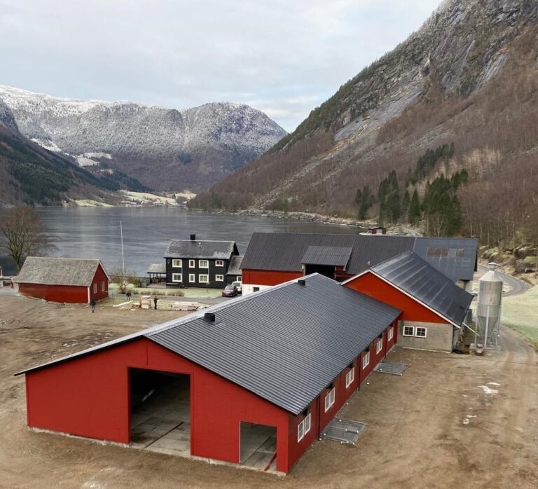 Project Bjordal