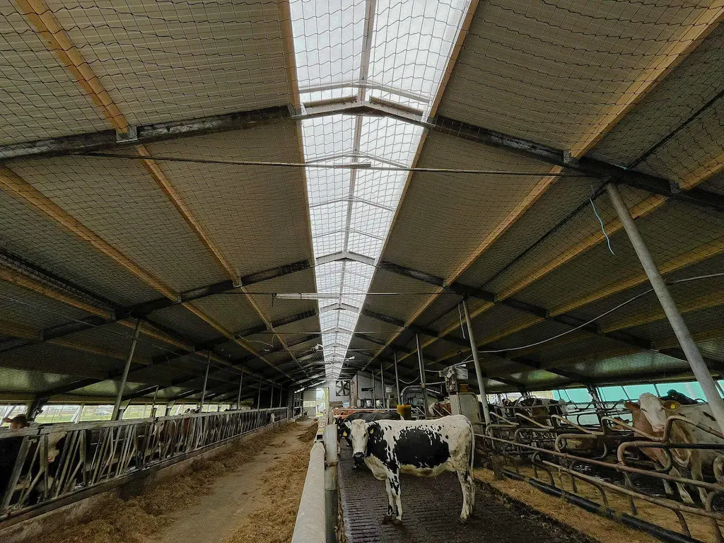 Mounted roof with skylight from the inside
