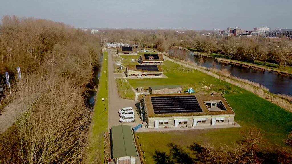 Renovated roofs with moss sedum in Vlaardingen (all four roofs from above, right side)