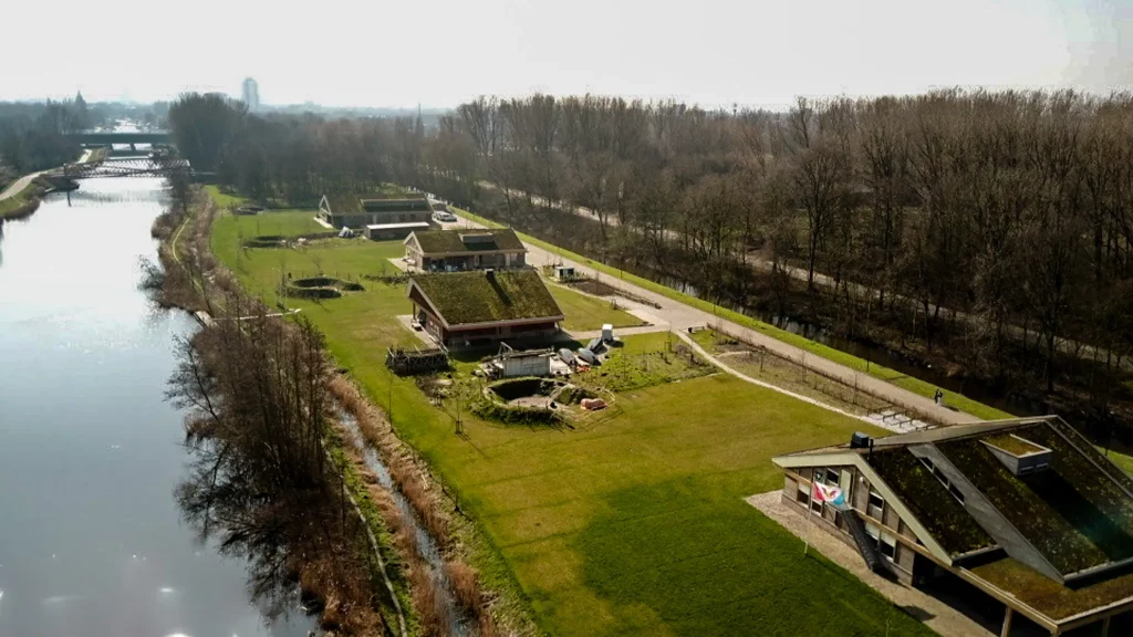 Renovated roofs with moss sedum in Vlaardingen (all four roofs from above, left side)