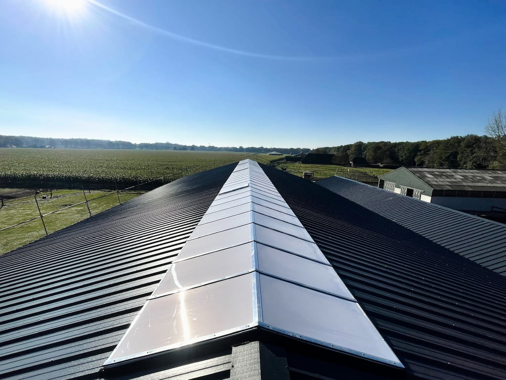 Result of roof renovation for project in Teteringen