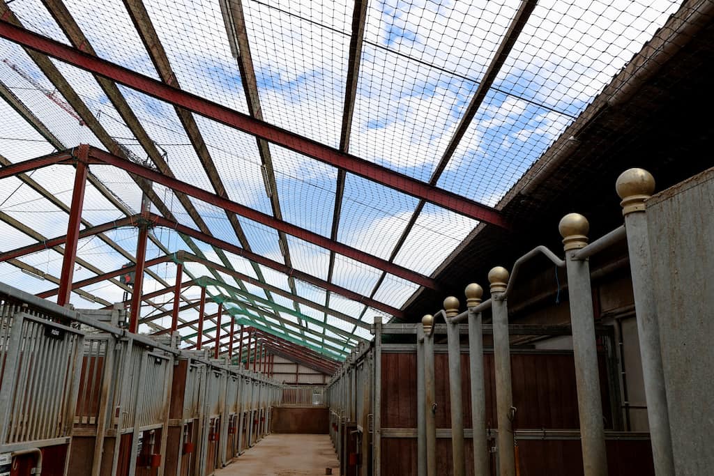 Asbestos Removal in Haarlem